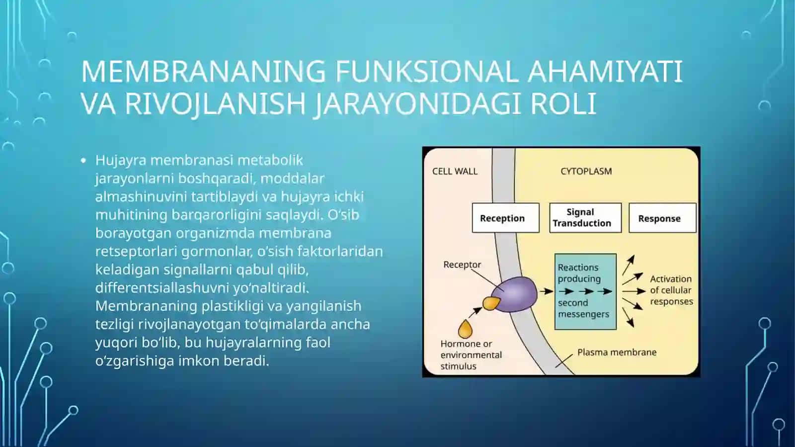 Biofizika - Oʻsib rivojlanayotgan organizmda membrana transport jarayonlari va hujayra differentsial 4