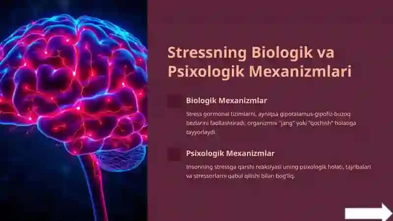 Stressning Vujudga Kelishi va Rivojlanishiga Inson Individual va Shaxs Xususiyatlarining Ta’siri 4