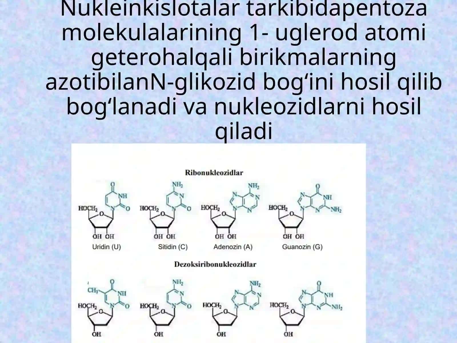 NUKLEOZIDLAR. NUKLEOTIDLAR.NULLEOZIDPOLIFOSFATLAR.NUKLEIN KISLOTALAR. RNK VA DNK 4