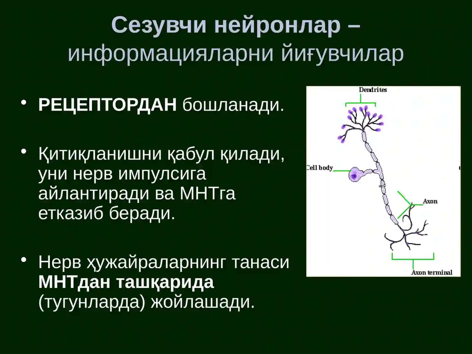ЎТКАЗУВЧИ ЙЎЛЛАР 4
