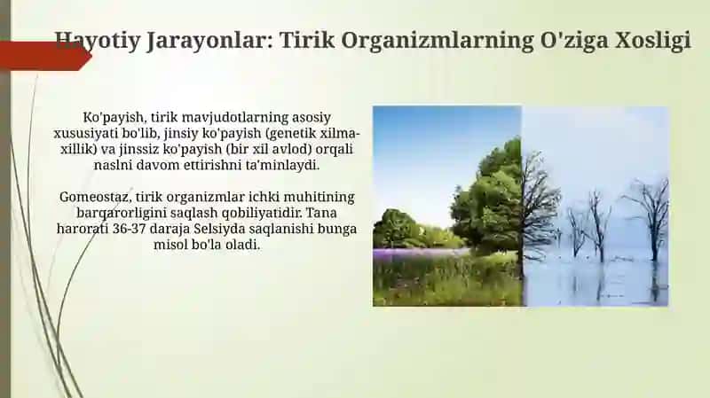 Tirik va Notirik Tabiatning O'zaro Aloqadorligi 4