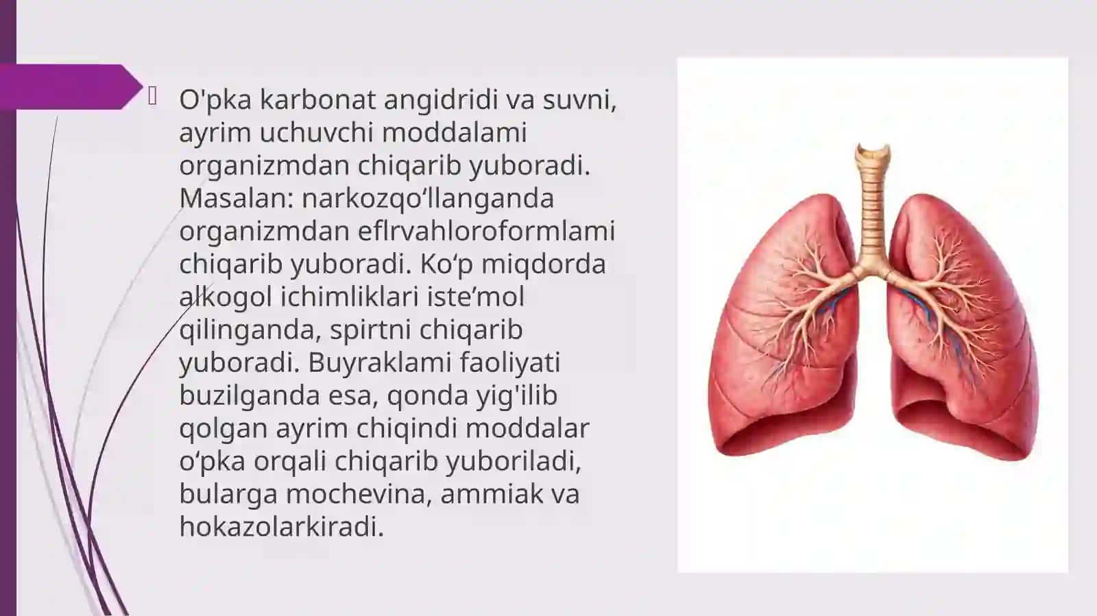 Ayiruv tizimining fiziologiyasi 4