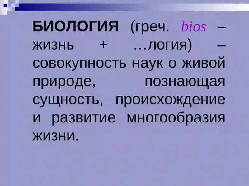 ВВЕДЕНИЕ В АНАТОМИЮ 4
