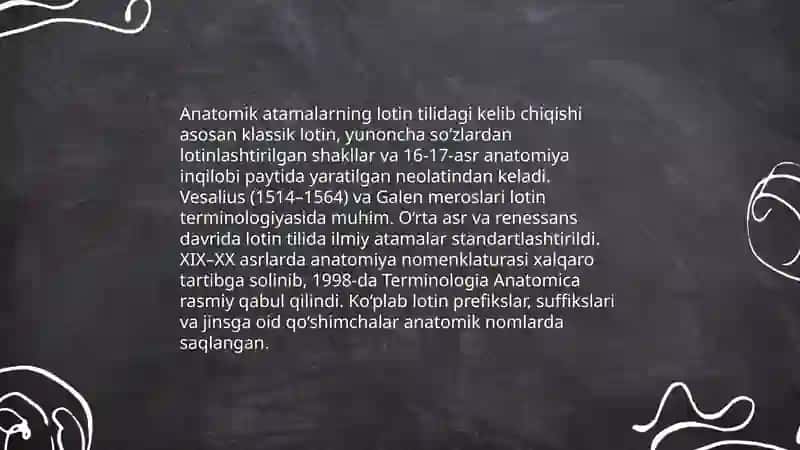 Anatomik terminologiya. Lotin tili grammatikasi 4