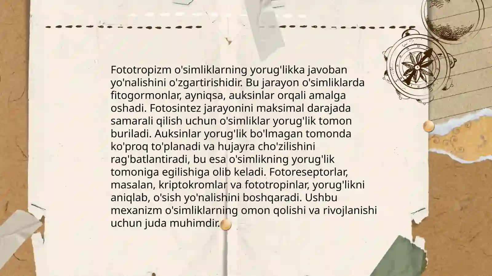 Fototropizm 4
