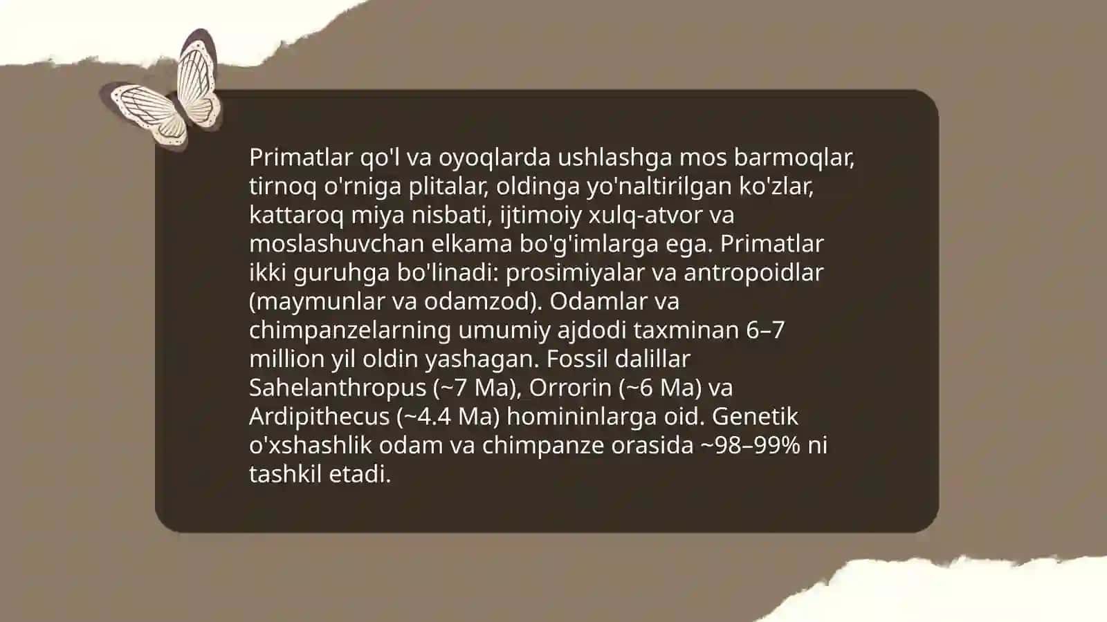 Odamlar evolyutsiyasi, dastlabki odamlar 4