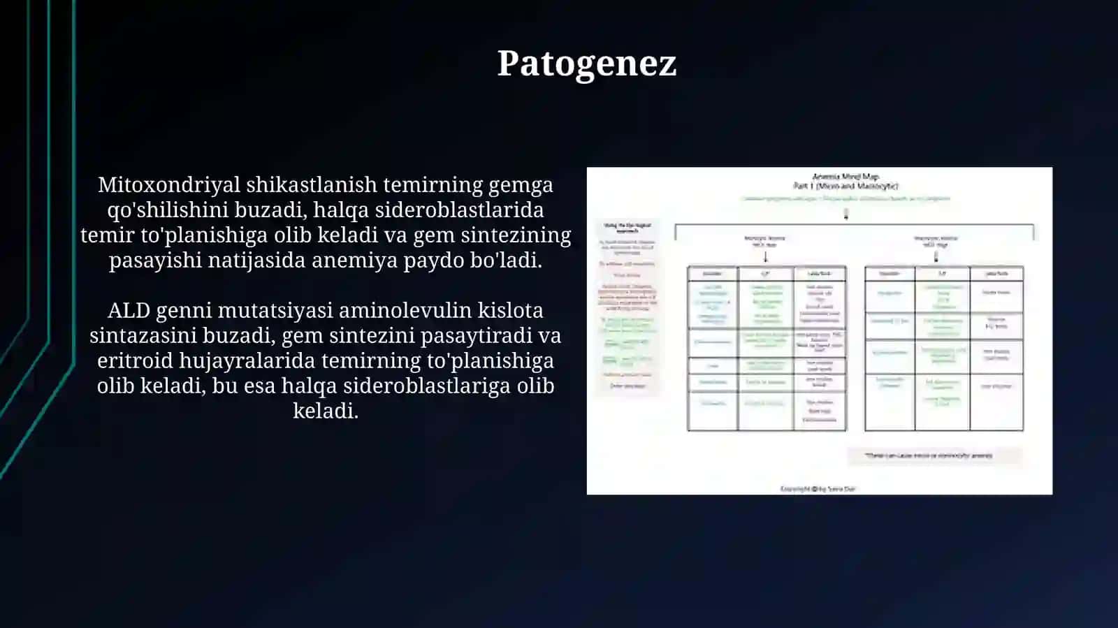 Sideroaxrestik anemiya etiologiyasi, patogenezi, klinikasi va diagnostikasi 4