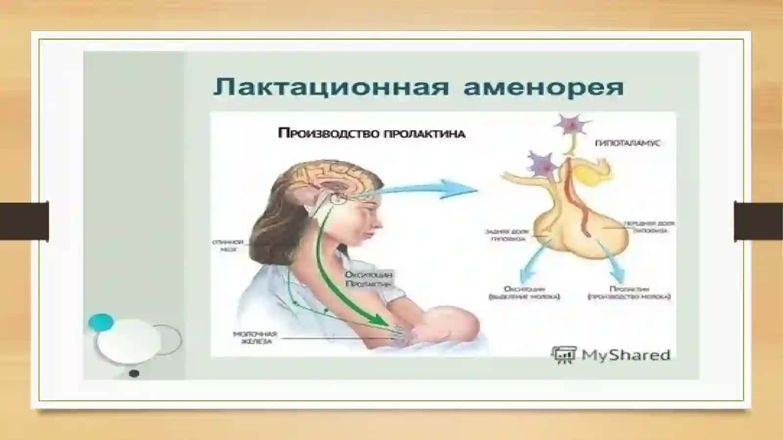 Laktatsion amenoreya 4