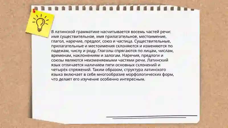 История учения о частях речи. Части речи о разных языках 4