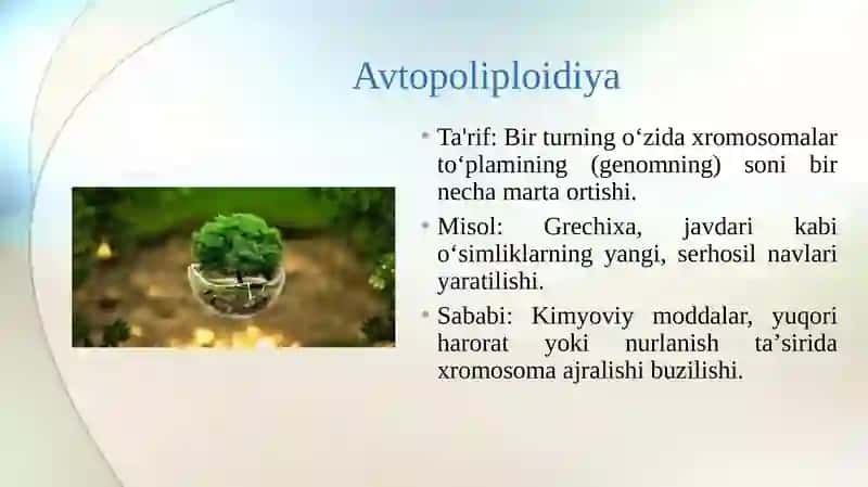Avtopoliploidiya va allopoliploidiya sitoplazmatik mutatsiyalar 4