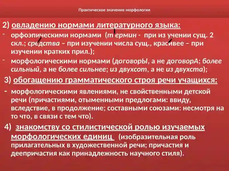 ИННОВАЦИОННЫЕ ПОДХОДЫ К ОБУЧЕНИЮ МОРФОЛОГИИ 4