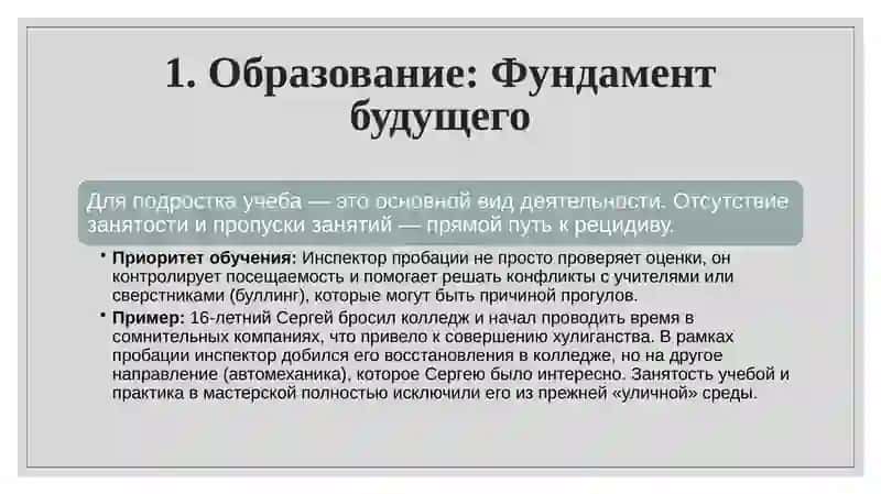 Ювенальная пробация: От контроля к воспитанию и защите 4