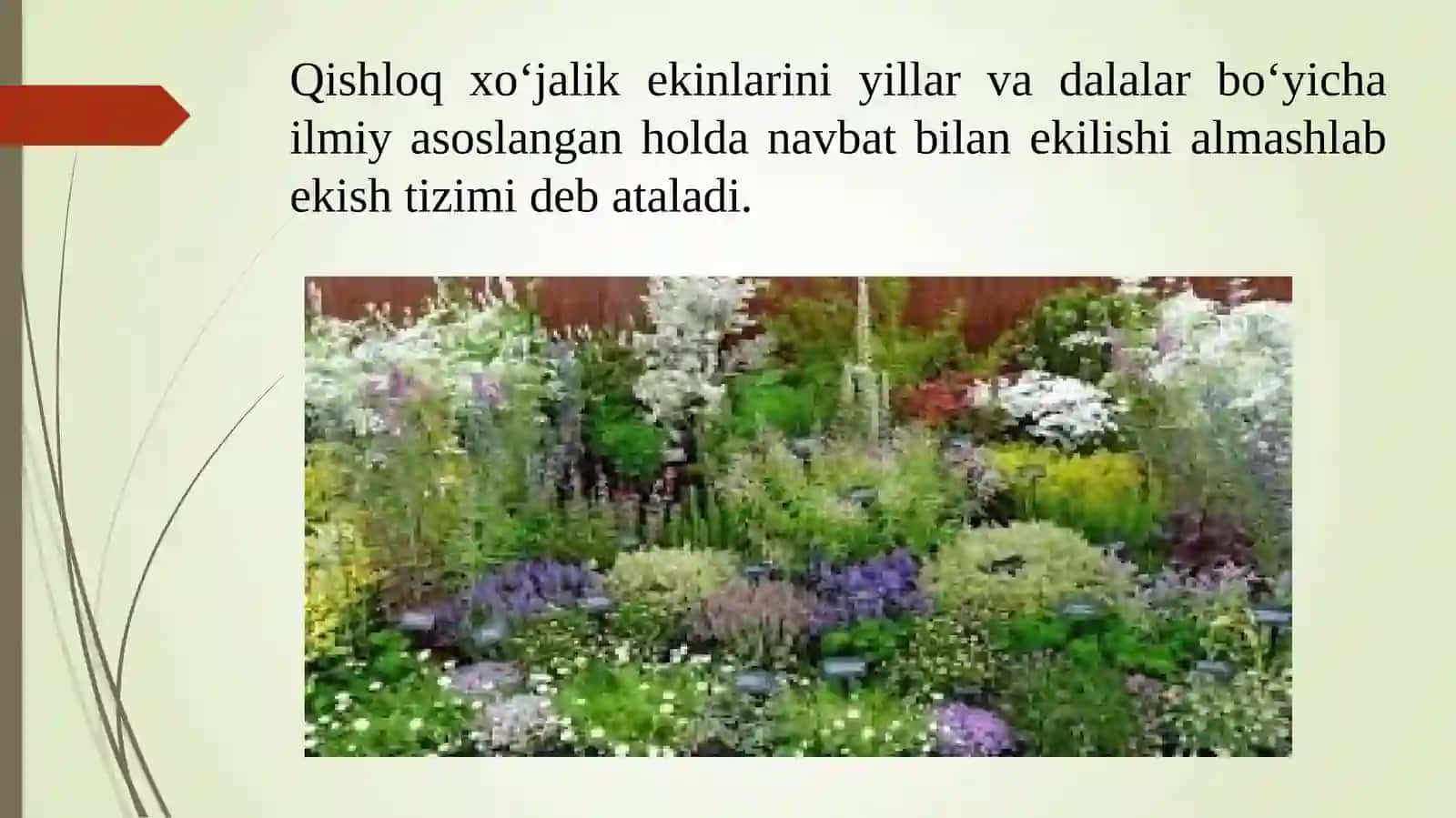 Geofit Dorivor O‘simliklarni Yetishtirish Texnologiyasi 4