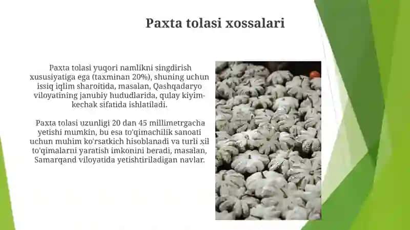 Paxta va undan olinadigan maxsulot 4