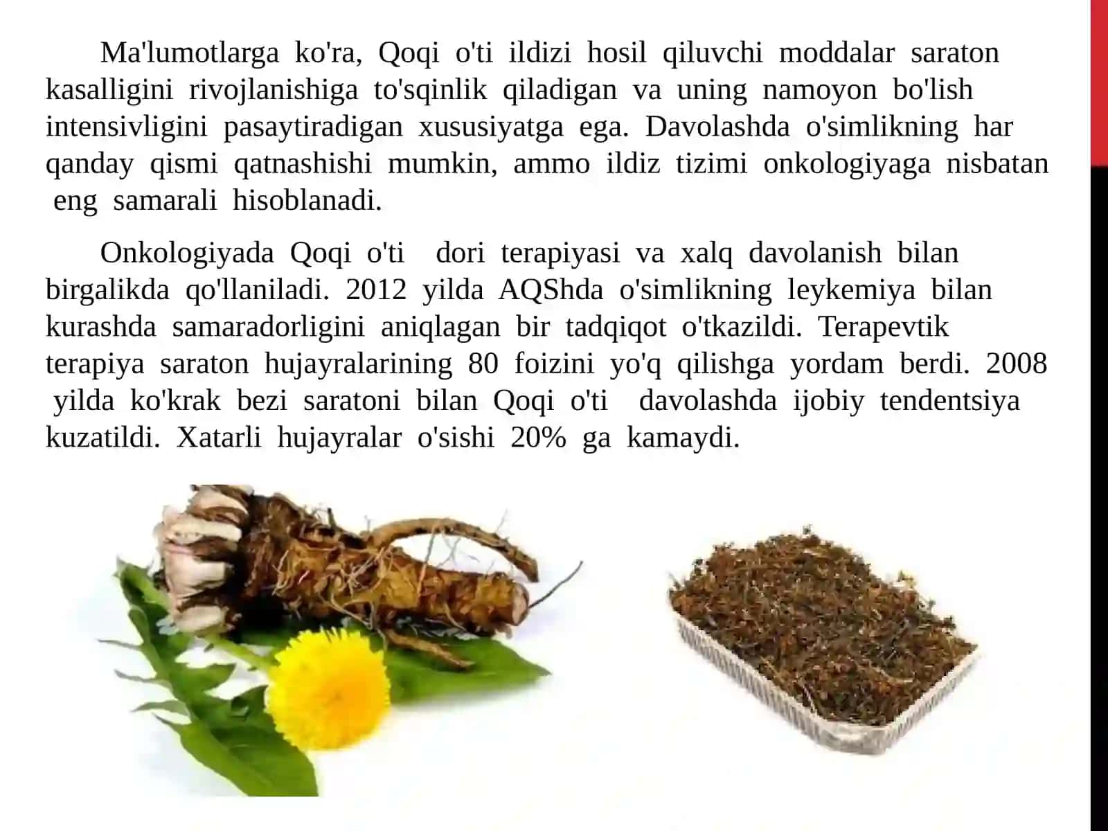 ONKOLOGIK KASALLIKLARNI DAVOLASH UCHUN TAVSIYA ETILGAN O’SIMLIK VA YIG’MALAR 4