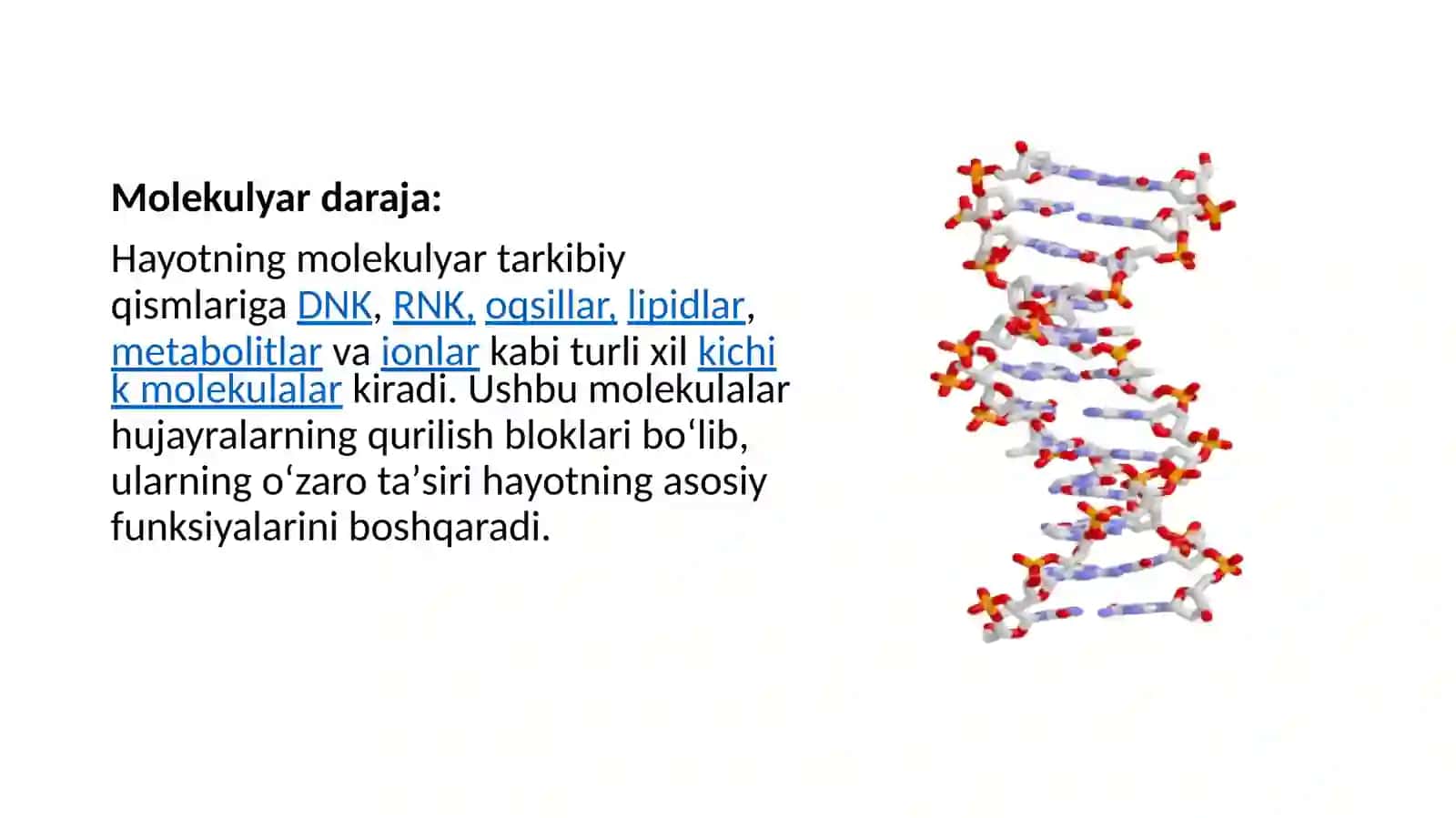 Hujayra biologiyasi. Gen terapiyasi. Klonlar, klonlashtirish 4