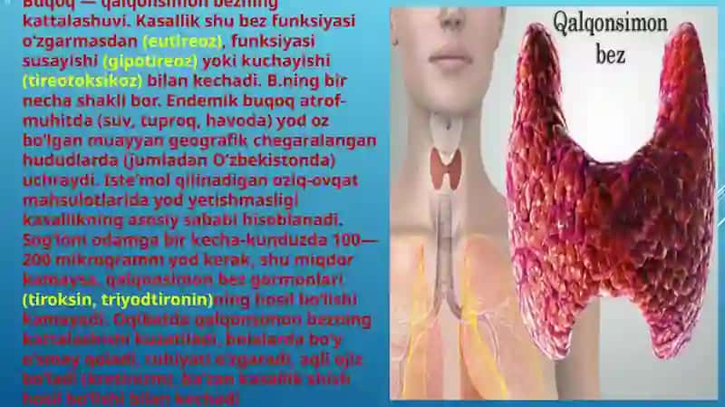 Biogenelementlar va ularning roli 4