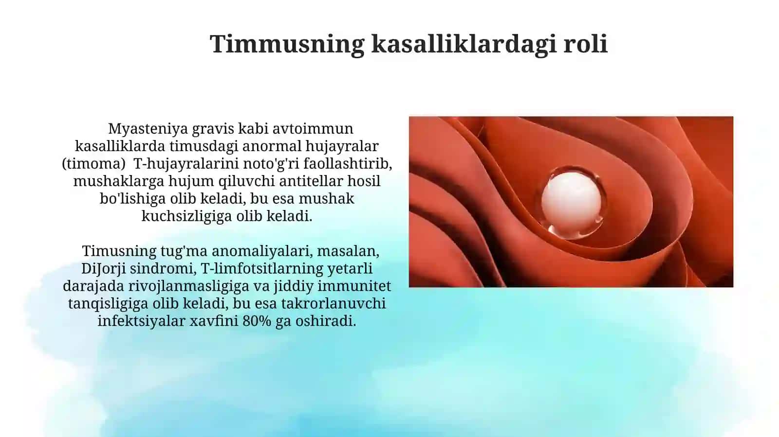 Timusning embriologik rivojlanishi va immunologik roli 4