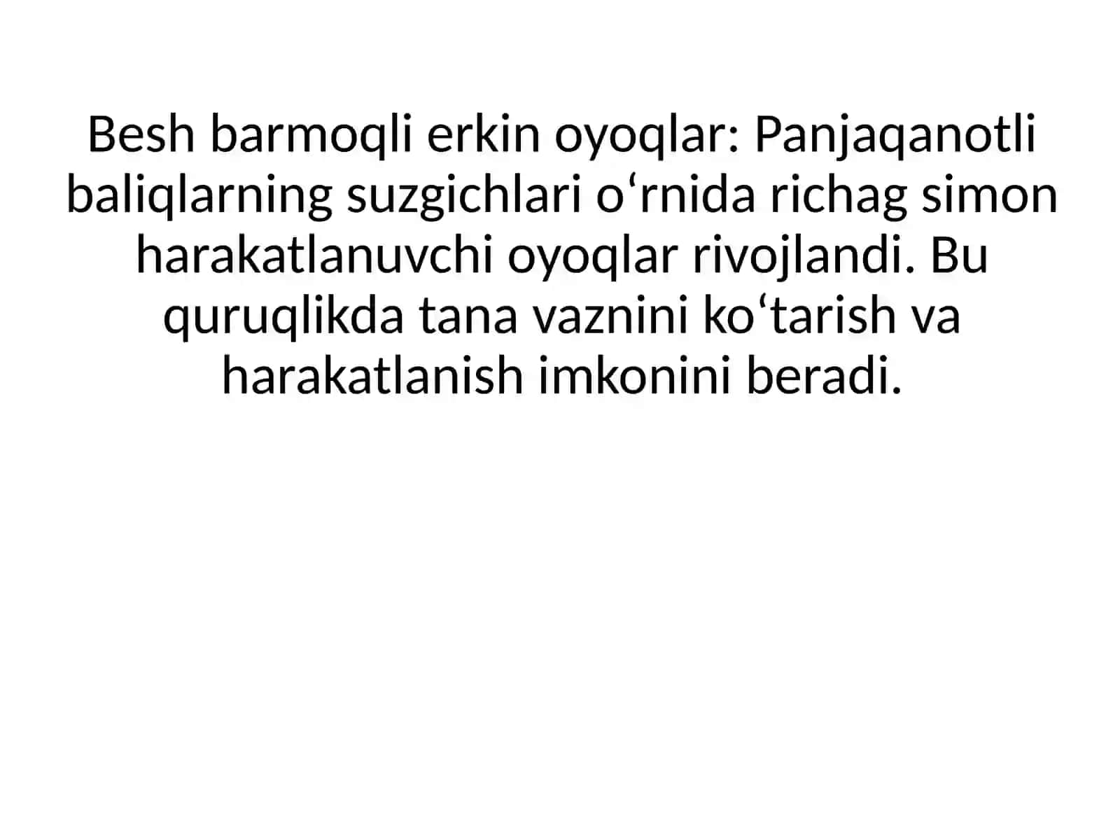 Tetrapoda Kattasinf Infigamansubhayvonlari 4