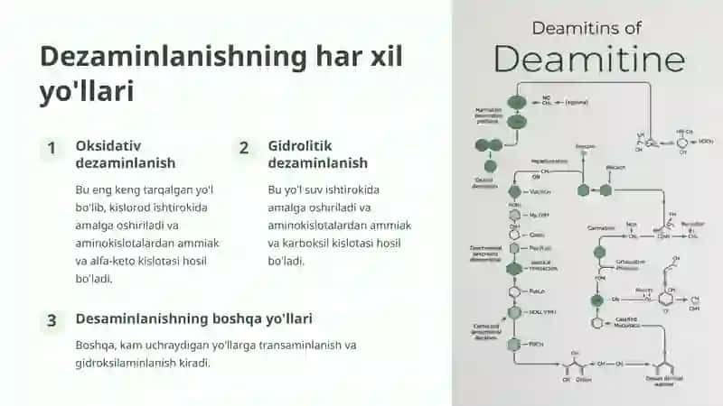 Dezaminlanish 4