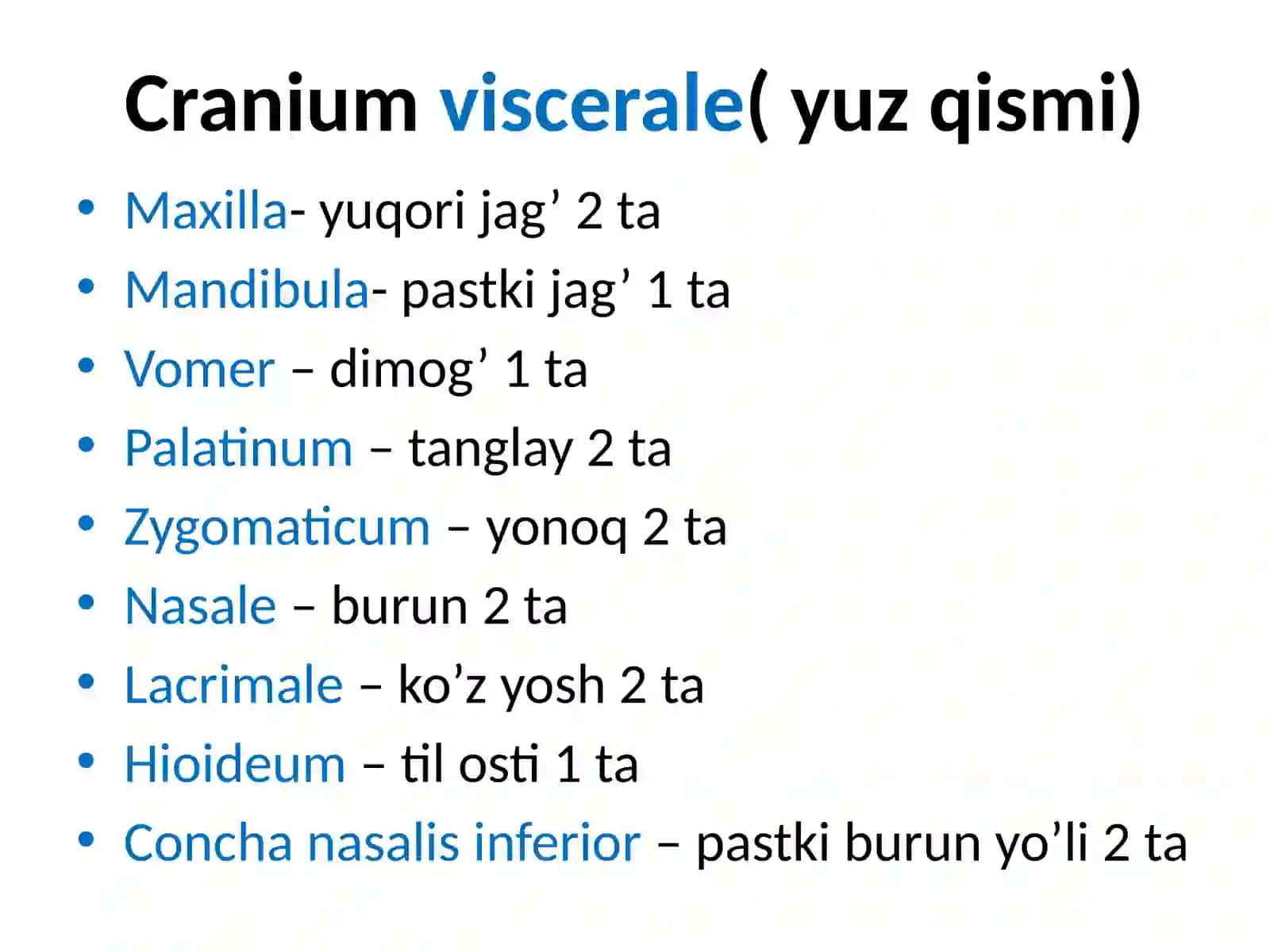 Kallasuyaklarining umumiy anatomiyasi (miya qism suyaklari) 4
