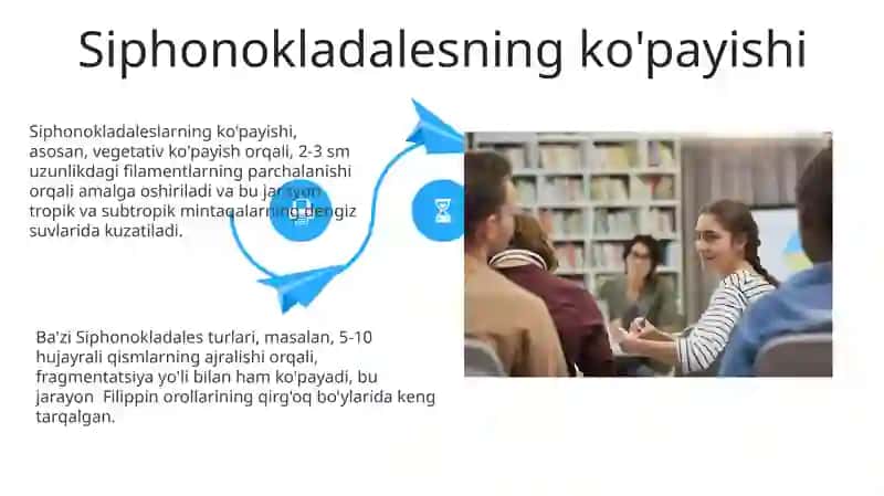 Ulotrikslar, edogoniumlar sifonokladiyalar tartiblari 4