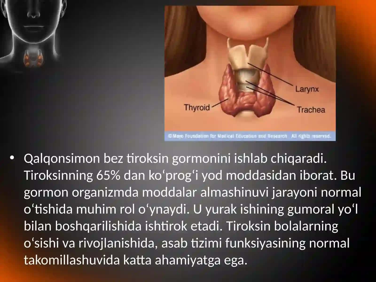 Qalqonsimon, qalqon orqa va ayrisimon bezlar 4