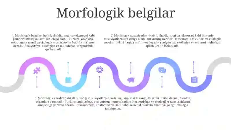 Morfologik Xususiyatlari 4