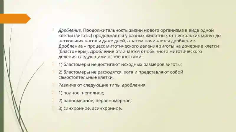 Периоды эмбриогенеза 4