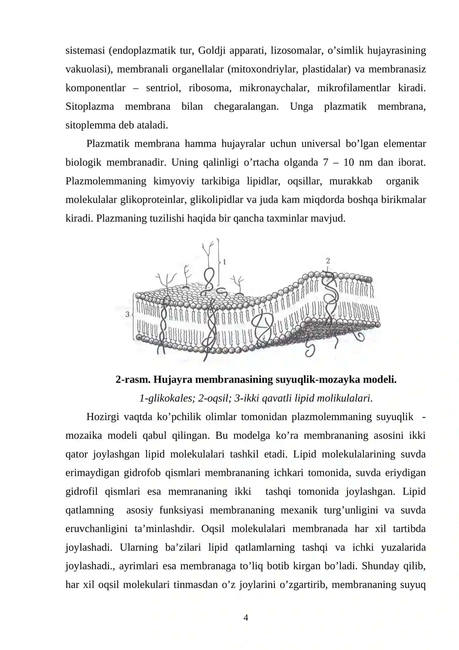 Eukariot organizmlarning hujayra tuzilishi 4