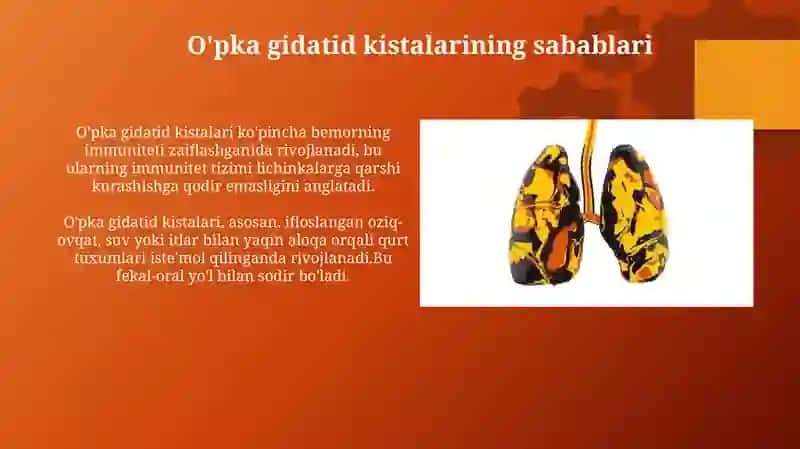 O'pka gidatid kistalari 4