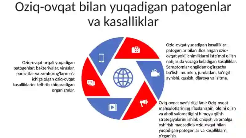 Oziq Ovqat Xavfsizligining Ilmiy Nazariy Asoslari 4