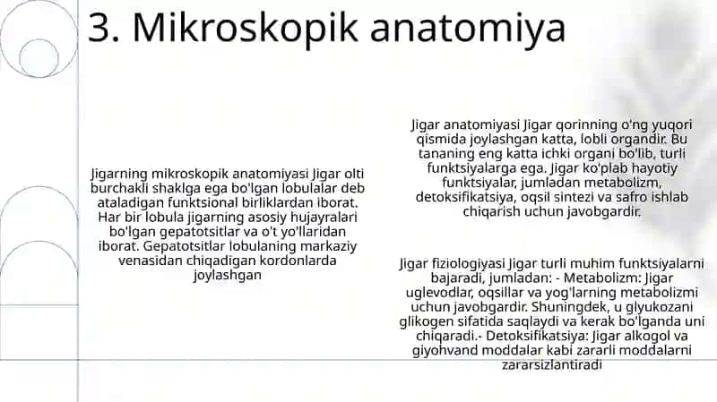 Jigar Anatomiyasi 4