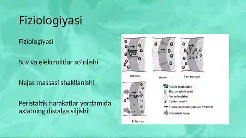 Yo’g’on ichak va to’g’ri ichak kassaliklari 4