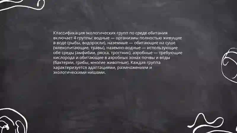 Экологические группы растений и животных 4