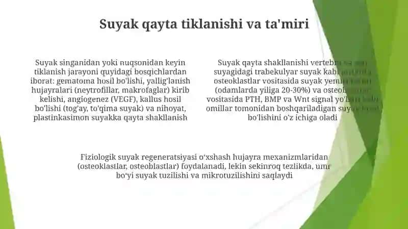 Qon hujayralarining fiziologik va reperativ regeneratsiyasi mexanizmlari 4
