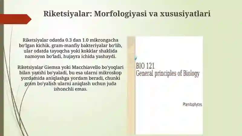 Bakterial morfologiya 4