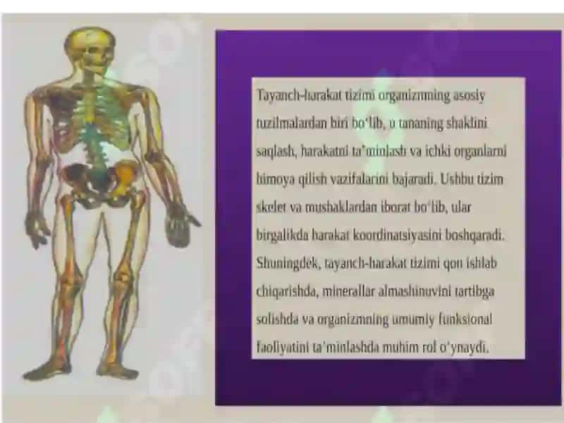 Tayanch-harakat apparatida nuqsonlari bо‘lgan bolalar rivojlanishining o‘ziga xos xususiyatlari 4