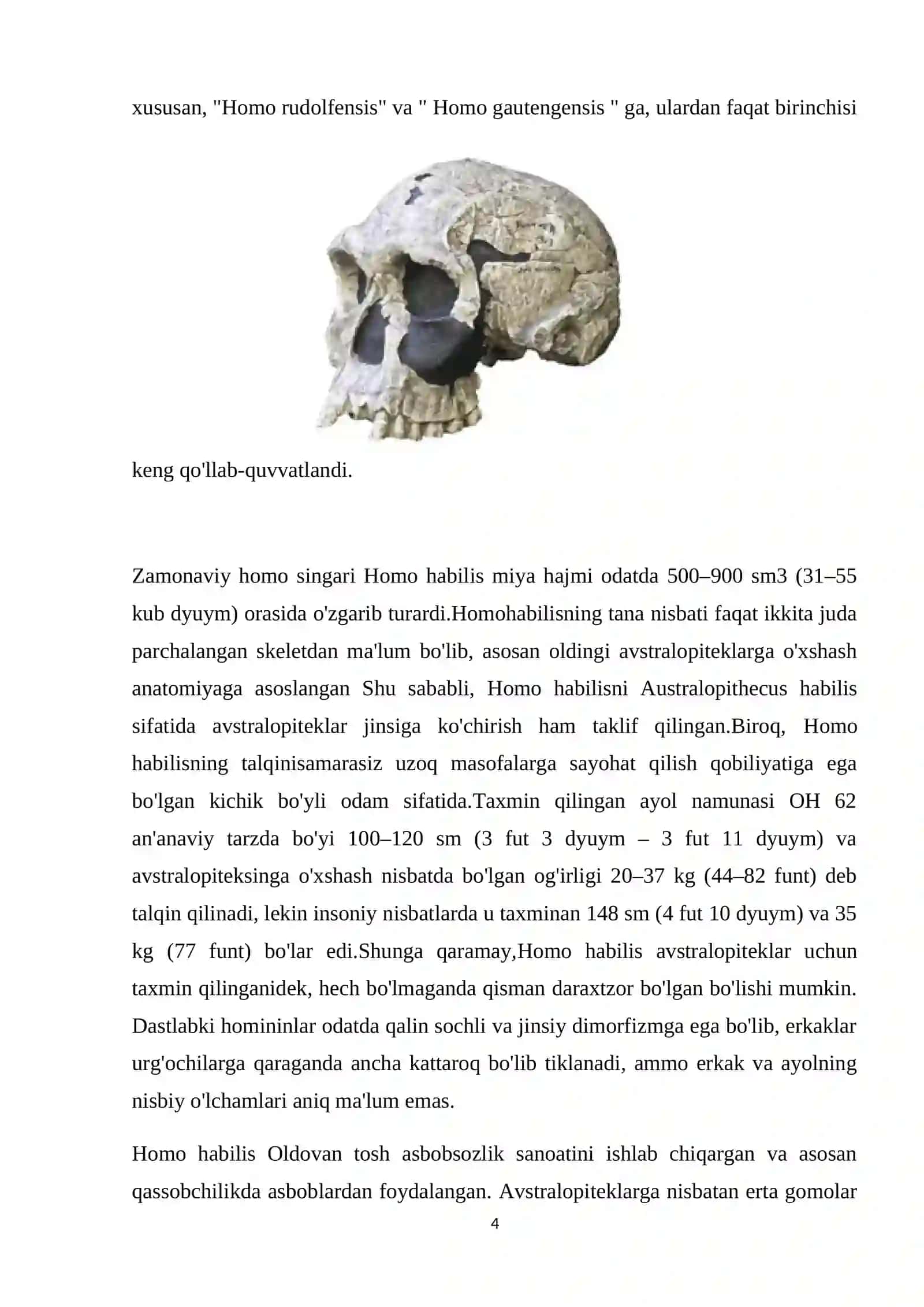 Homo habilis 4