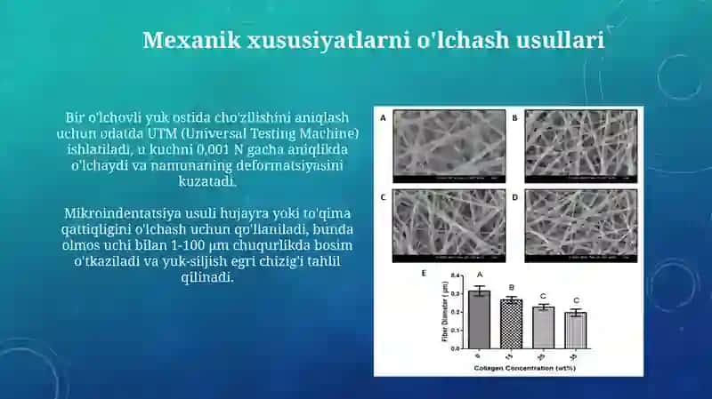 Biologik to'qimlarning mexanik xossalari va ularning fiziologik ahamyati 4