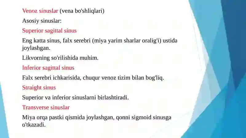 BOSH MIYA PARDALARINING VENA BO`SHLIQLARI VA SISTERNALARI. LIKVORODINAMIKA 4