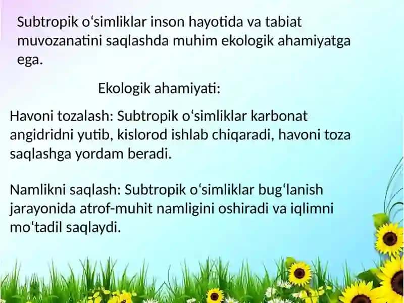 Subtropik oʻsimliklar kiritilgan turlar va ularning ahamiyati 4