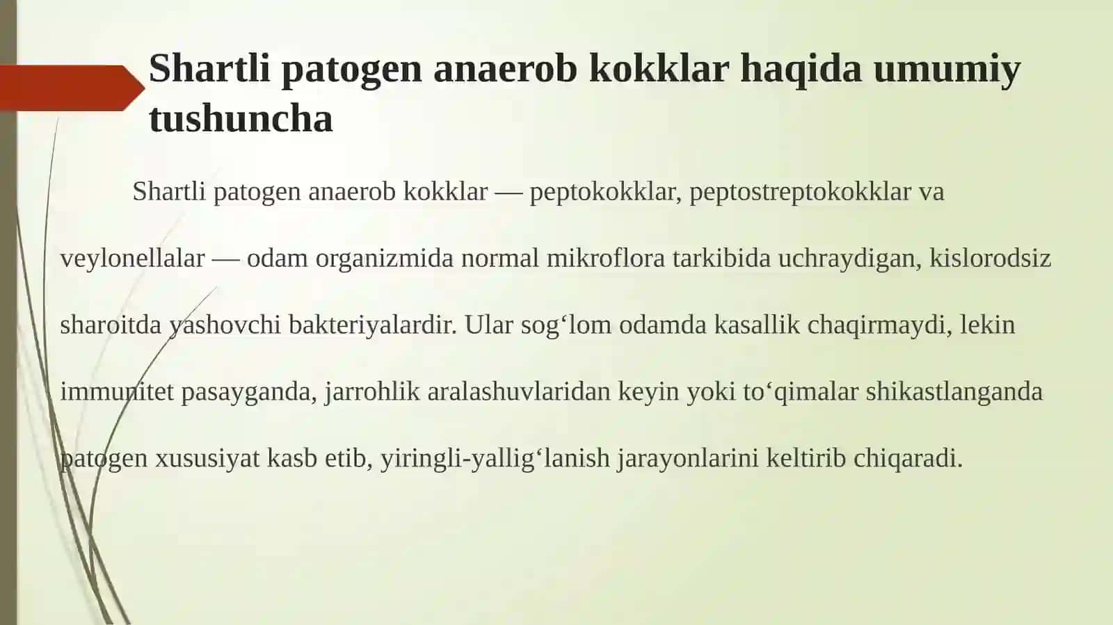 Shartli patogen anaerob kokklar 4