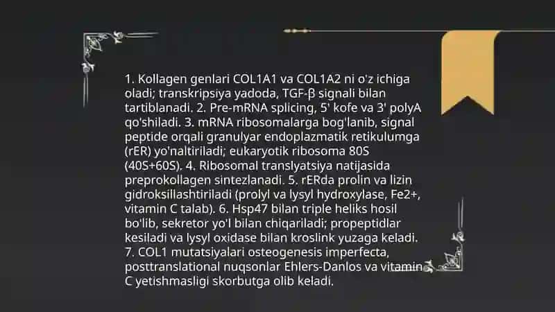 Kollogen va Elastin sintezi.Ularning kasaliklari 4