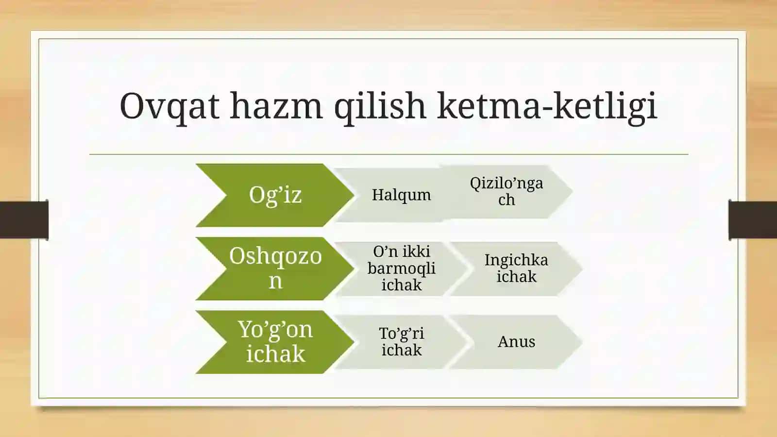 Ovqat hazm qilish 4