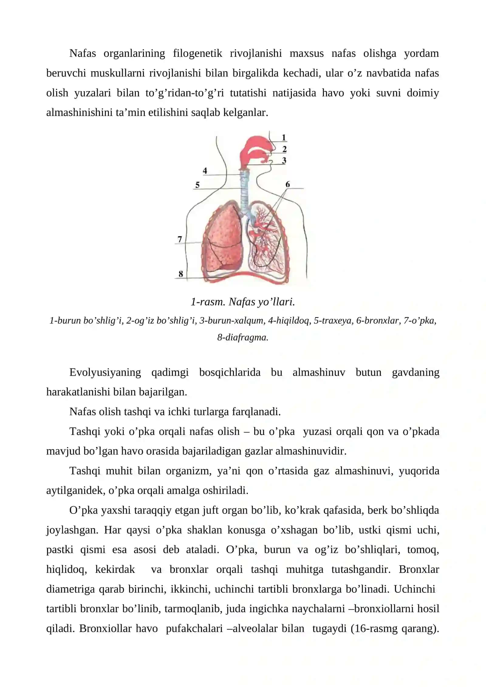Nafas olish organlari fiziologiyasi 4