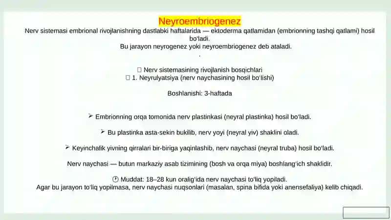 Bolalarda bosh miyaning morfologik va funksional hususiyatlari 4