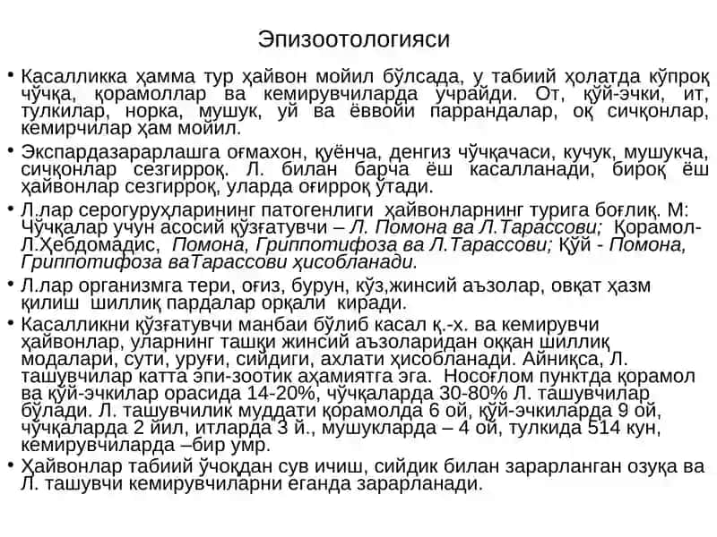 Лептоспироз ва унга қарши кураш тадбирлари 4