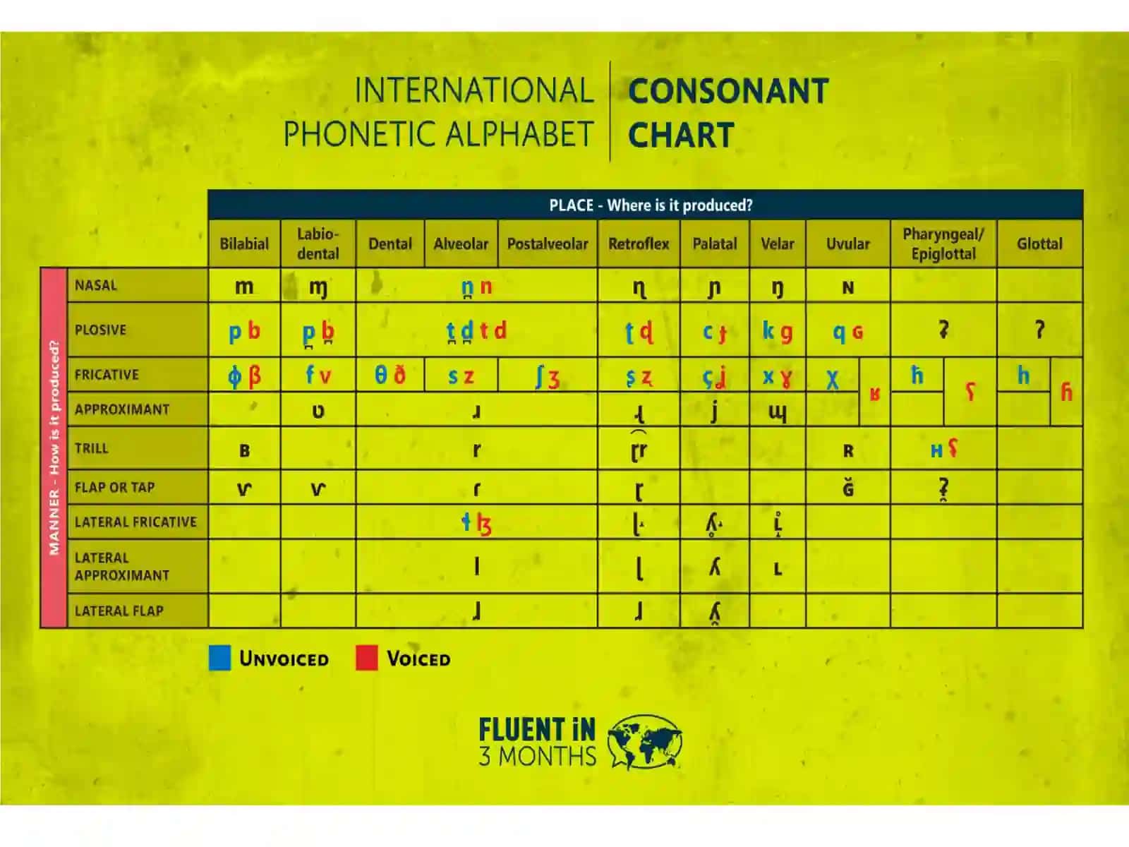 International Phonetic Alphabet (IPA) 4