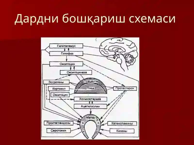 ДАРД ТУТИШНУКСОНЛАРИ 4
